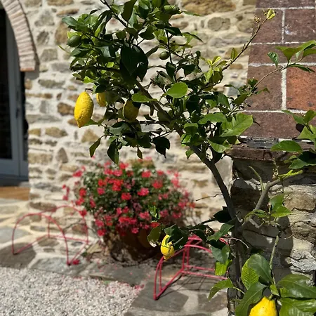 Podere Fontanino Arezzo